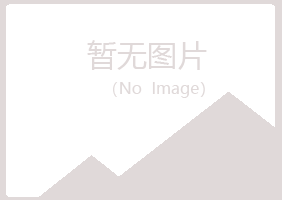 安陆夏岚保险有限公司